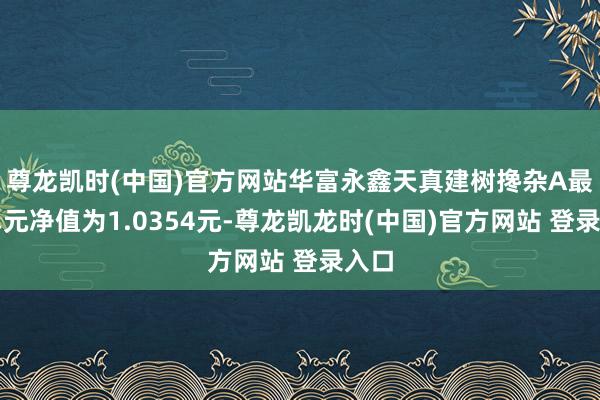 尊龙凯时(中国)官方网站华富永鑫天真建树搀杂A最新单元净值为1.0354元-尊龙凯龙时(中国)官方网站 登录入口