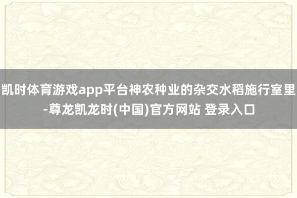 凯时体育游戏app平台神农种业的杂交水稻施行室里-尊龙凯龙时(中国)官方网站 登录入口