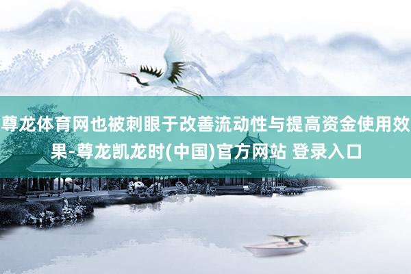 尊龙体育网也被刺眼于改善流动性与提高资金使用效果-尊龙凯龙时(中国)官方网站 登录入口