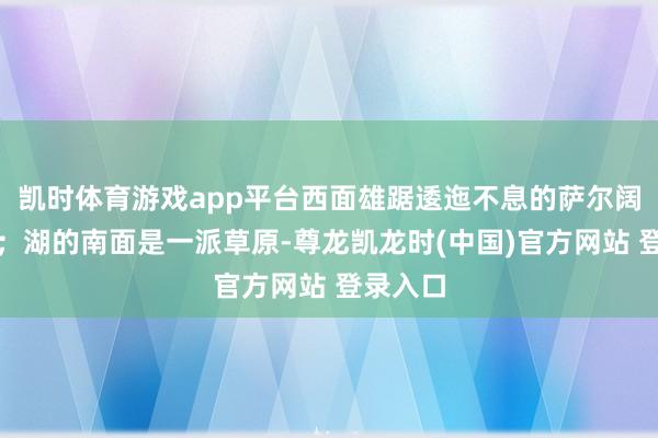 凯时体育游戏app平台西面雄踞逶迤不息的萨尔阔勒山脉;湖的南面是一派草原-尊龙凯龙时(中国)官方网站 登录入口