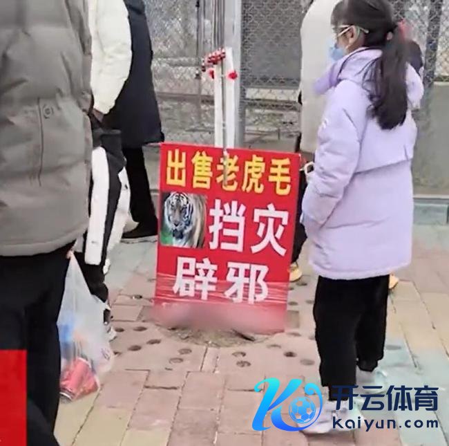 动物园保洁大姨30元卖老虎毛被开除